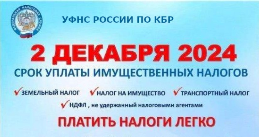 Уплатите налоги не позднее 2 декабря 2024 года