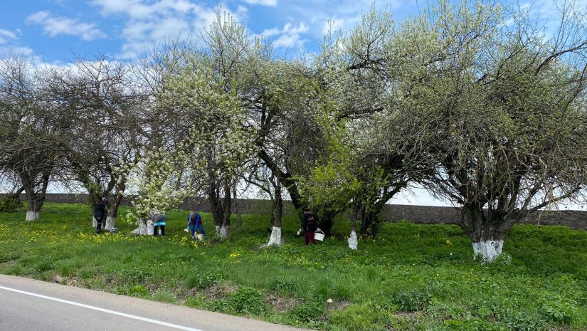 Зольчане присоединились к Всероссийскому субботнику